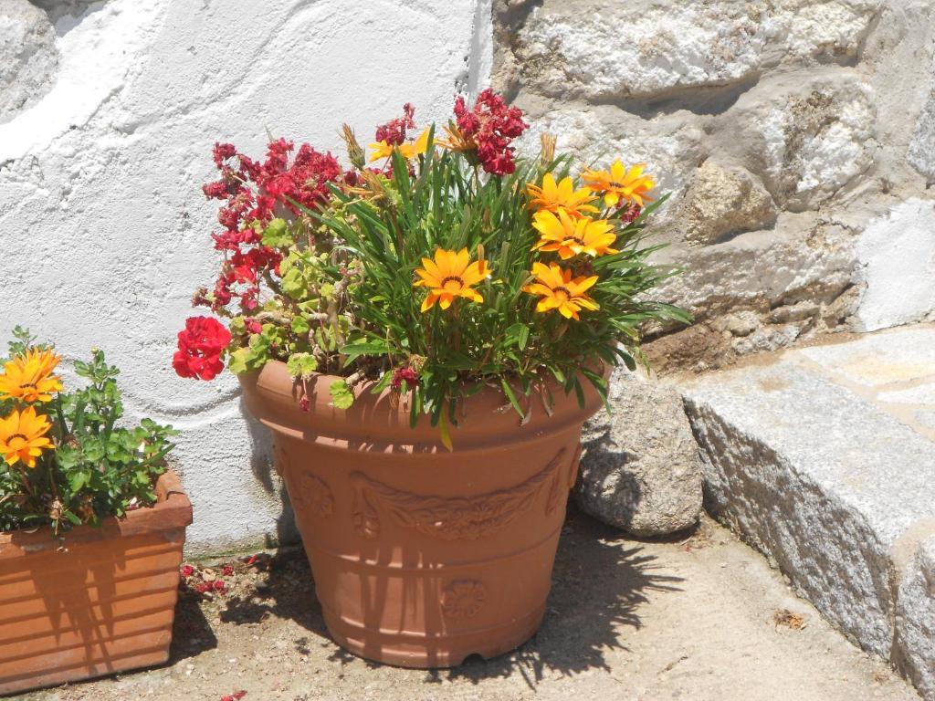 B&B L' Incantu Santa Teresa Gallura Zewnętrze zdjęcie
