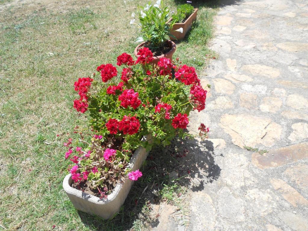 B&B L' Incantu Santa Teresa Gallura Zewnętrze zdjęcie